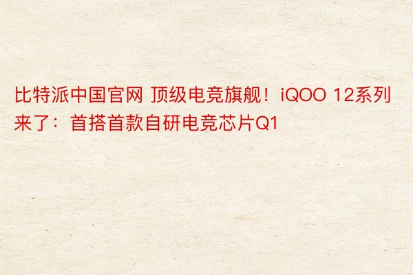 比特派中国官网 顶级电竞旗舰！iQOO 12系列来了：首搭首款自研电竞芯片Q1