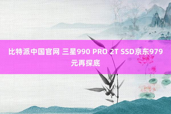 比特派中国官网 三星990 PRO 2T SSD京东979元再探底