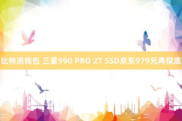 比特派钱包 三星990 PRO 2T SSD京东979元再探底