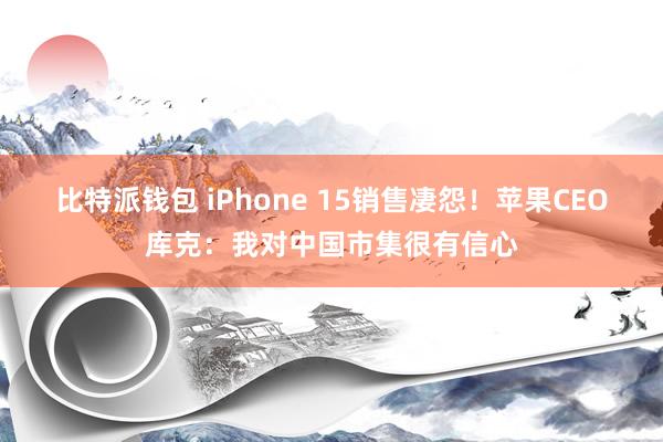比特派钱包 iPhone 15销售凄怨！苹果CEO库克：我对中国市集很有信心