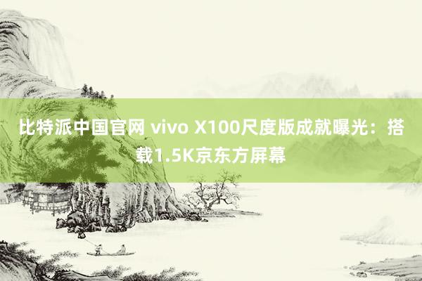 比特派中国官网 vivo X100尺度版成就曝光：搭载1.5K京东方屏幕
