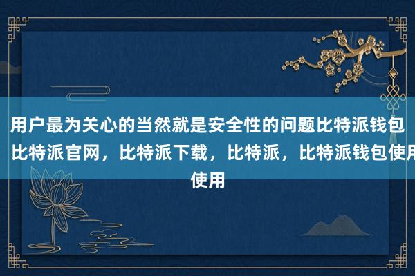 用户最为关心的当然就是安全性的问题比特派钱包，比特派官网，比特派下载，比特派，比特派钱包使用