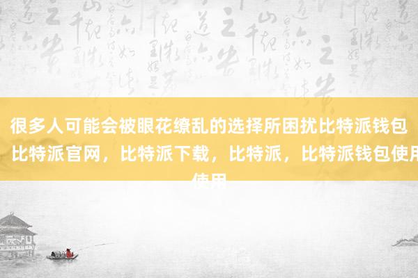 很多人可能会被眼花缭乱的选择所困扰比特派钱包，比特派官网，比特派下载，比特派，比特派钱包使用