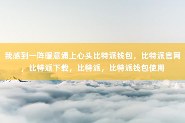 我感到一阵暖意涌上心头比特派钱包，比特派官网，比特派下载，比特派，比特派钱包使用