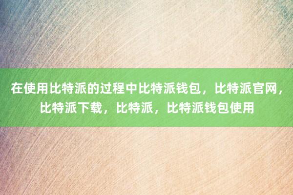 在使用比特派的过程中比特派钱包，比特派官网，比特派下载，比特派，比特派钱包使用