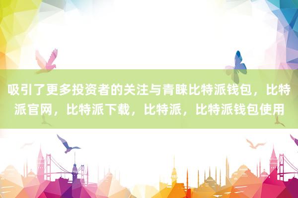 吸引了更多投资者的关注与青睐比特派钱包，比特派官网，比特派下载，比特派，比特派钱包使用