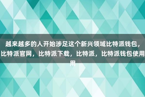 越来越多的人开始涉足这个新兴领域比特派钱包，比特派官网，比特派下载，比特派，比特派钱包使用