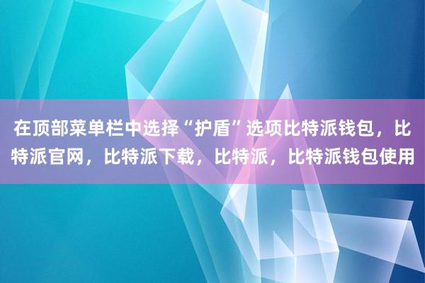 在顶部菜单栏中选择“护盾”选项比特派钱包，比特派官网，比特派下载，比特派，比特派钱包使用