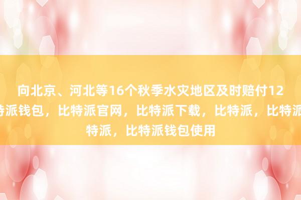 向北京、河北等16个秋季水灾地区及时赔付126亿元比特派钱包，比特派官网，比特派下载，比特派，比特派钱包使用