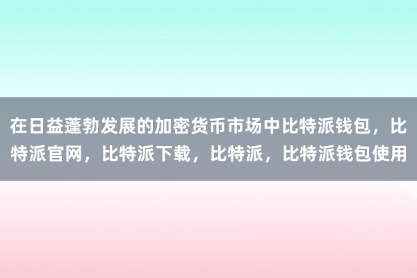 在日益蓬勃发展的加密货币市场中比特派钱包，比特派官网，比特派下载，比特派，比特派钱包使用