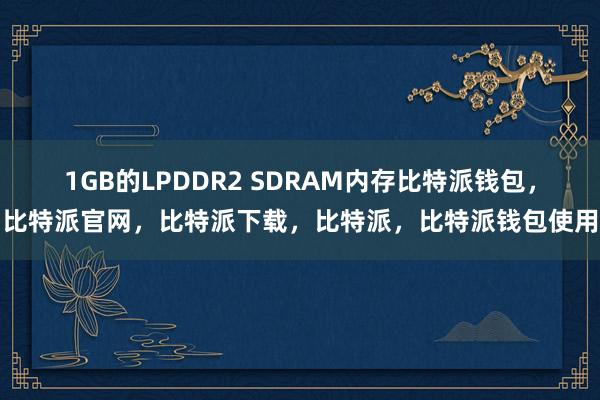 1GB的LPDDR2 SDRAM内存比特派钱包，比特派官网，比特派下载，比特派，比特派钱包使用