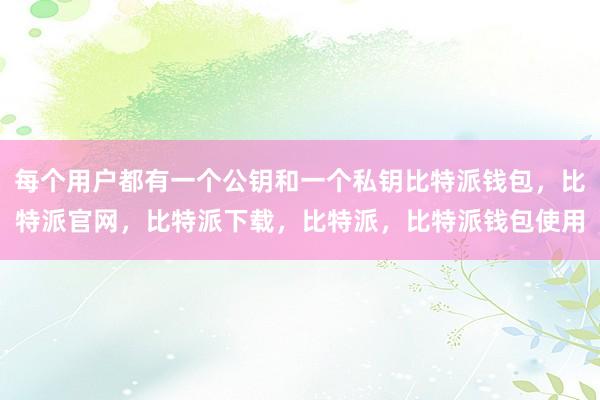 每个用户都有一个公钥和一个私钥比特派钱包，比特派官网，比特派下载，比特派，比特派钱包使用