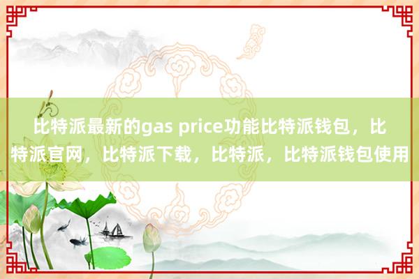 比特派最新的gas price功能比特派钱包，比特派官网，比特派下载，比特派，比特派钱包使用