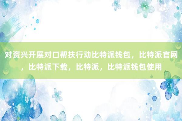 对资兴开展对口帮扶行动比特派钱包，比特派官网，比特派下载，比特派，比特派钱包使用