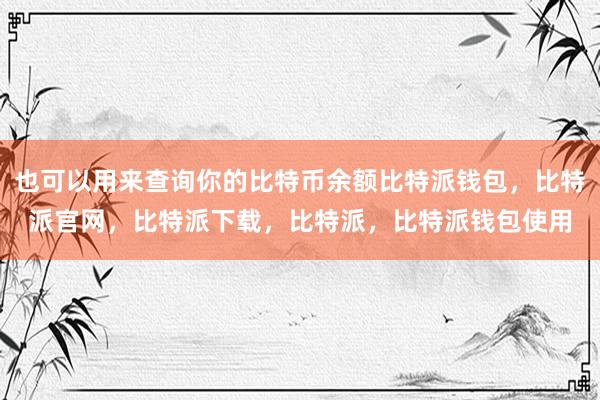 也可以用来查询你的比特币余额比特派钱包，比特派官网，比特派下载，比特派，比特派钱包使用