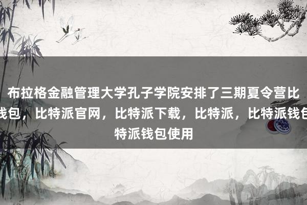 布拉格金融管理大学孔子学院安排了三期夏令营比特派钱包，比特派官网，比特派下载，比特派，比特派钱包使用