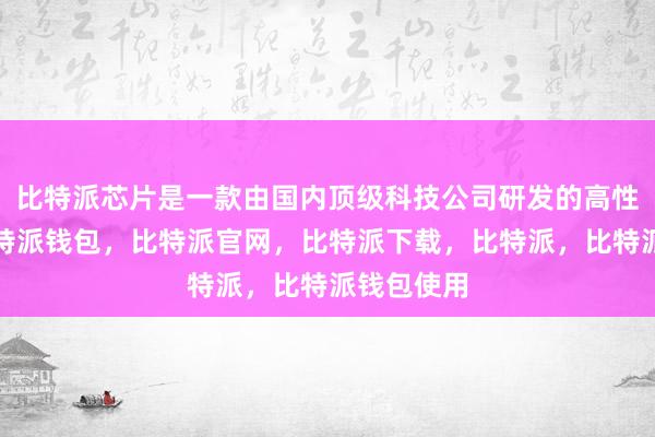 比特派芯片是一款由国内顶级科技公司研发的高性能芯片比特派钱包，比特派官网，比特派下载，比特派，比特派钱包使用