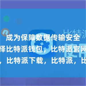 成为保障数据传输安全的首选选择比特派钱包，比特派官网，比特派下载，比特派，比特派钱包使用