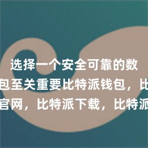 选择一个安全可靠的数字货币钱包至关重要比特派钱包，比特派官网，比特派下载，比特派，比特派钱包使用