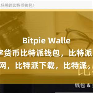 Bitpie Wallet支持多种数字货币比特派钱包，比特派官网，比特派下载，比特派，比特派钱包使用